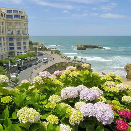 Clemence Biarritz